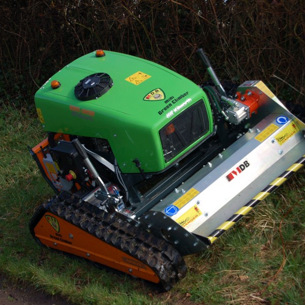 Mini Green Climber Kilworth