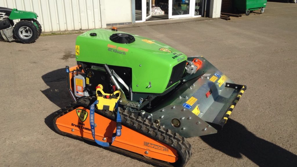 Green climber ‘Mini’ SOLD Kilworth